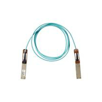 Cisco QSFP-100G-AOC1M= InfiniBand cable 1 m