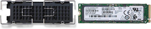 HP ZTurbo 256GB PCIe-Gen 4x4 TLC Z2 SSDKit